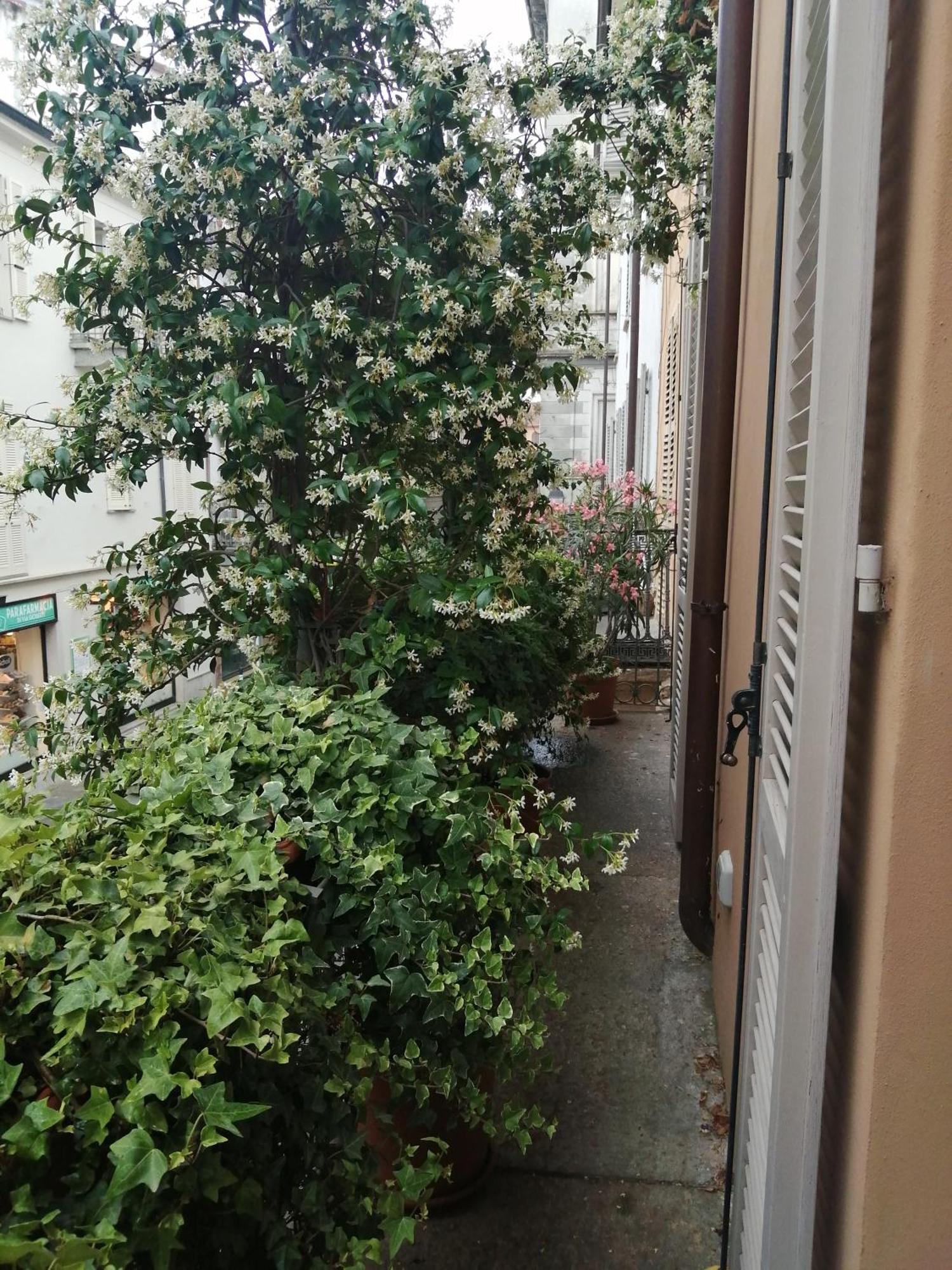 Le Melusine Appartement Vercelli Buitenkant foto